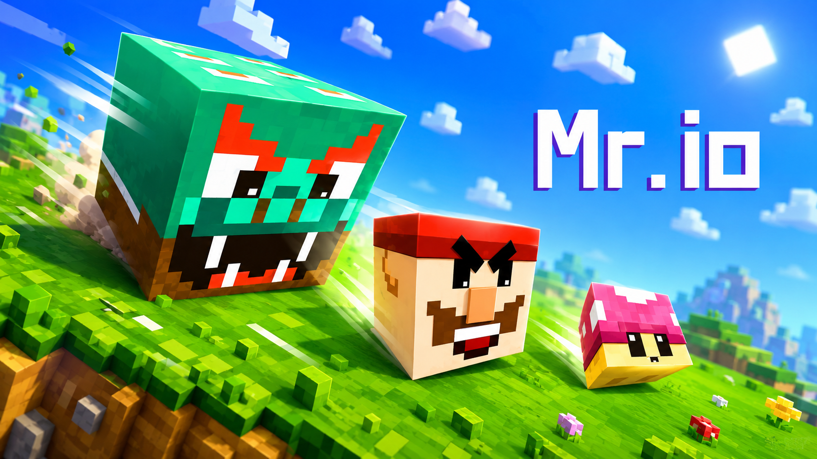 Mr IO